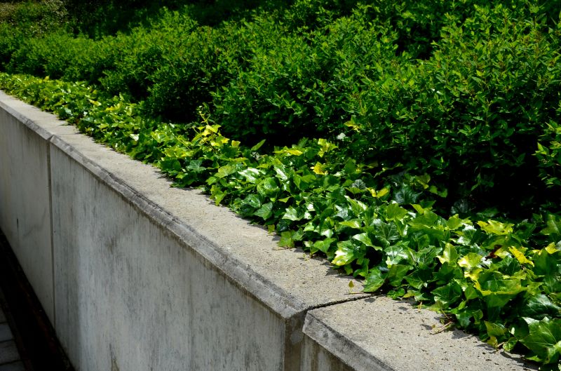 Products For Concrete Wall Installations in use